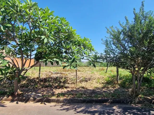 Imagem: Lote À Venda Bairro Shopping Park 10X30!