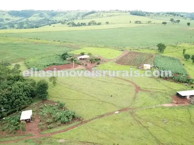 Imagem: Fazenda em Araguari - 14,88 Alqueires
