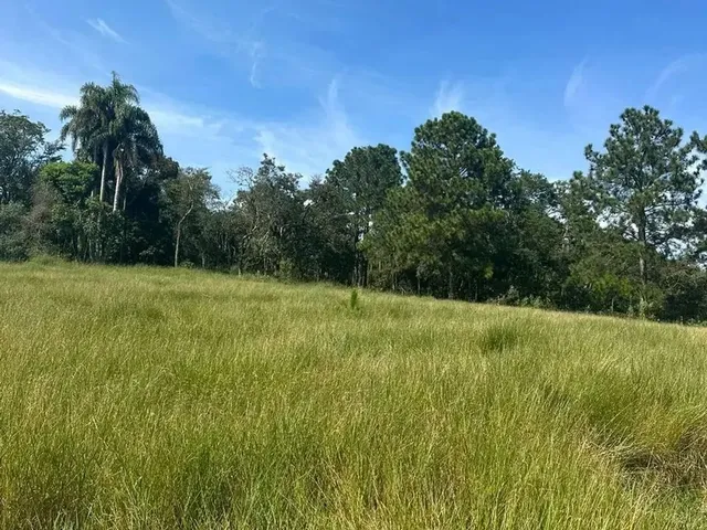 Imagem: Terreno Ideal para Casa de Campo Desfrute
