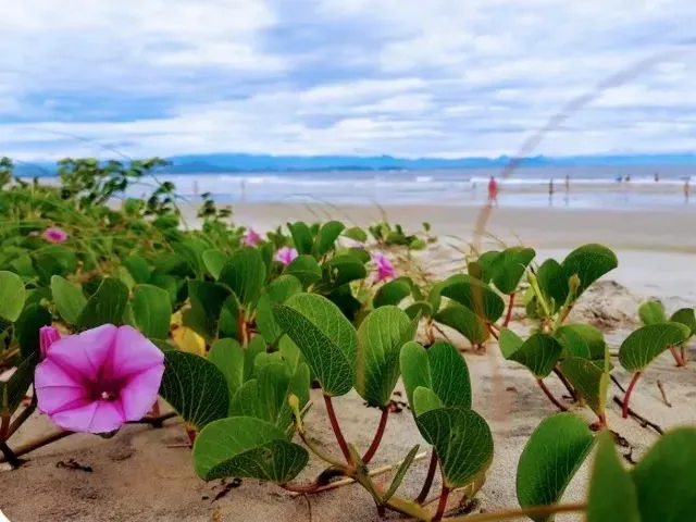 Imagem: Quarto Suite Casal Praias do Forte e Itaguaçu