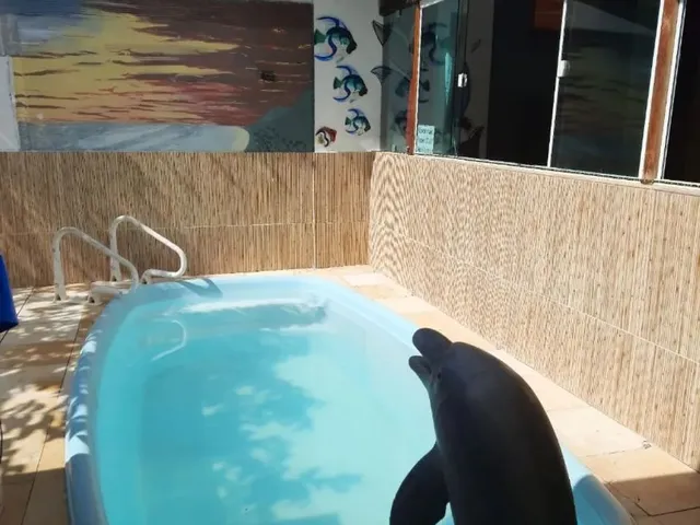 Imagem 4: Disponível pra Carnaval Piscina Praia e Ar Condicionado