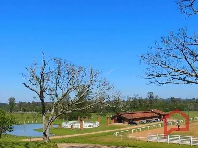 Imagem: Área À Venda e Locação, 70000 M² Aparecida