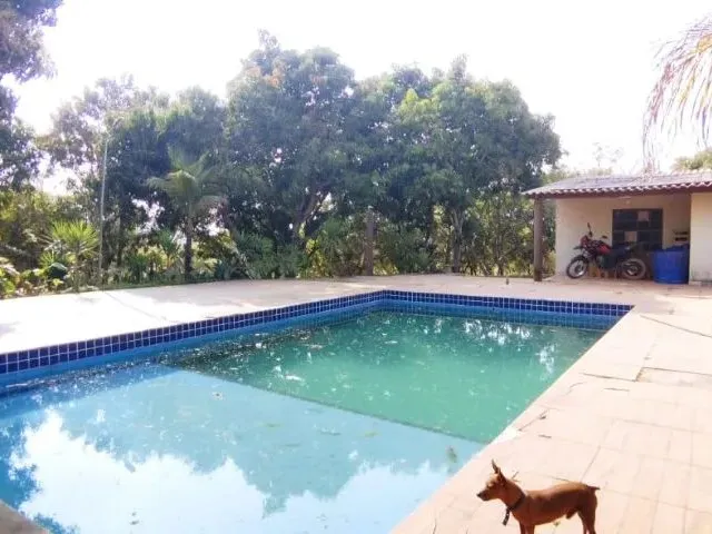 Imagem: Excelente Chacara com 2 Hectares - Aceita