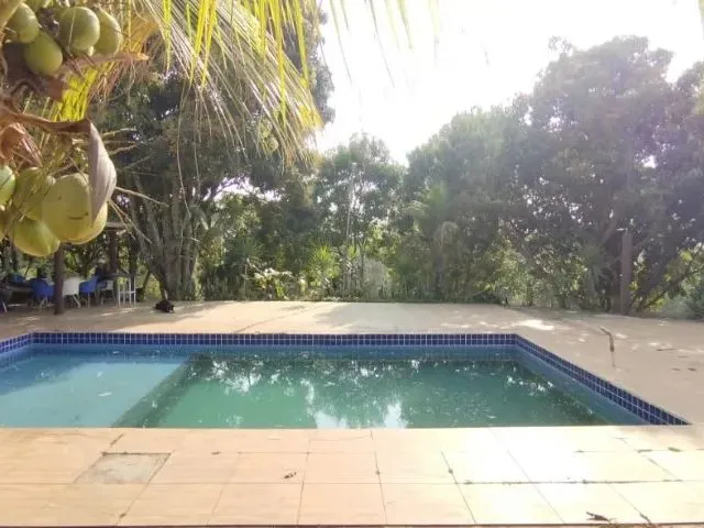 Imagem 12: Excelente Chacara com 2 Hectares - Aceita Troca