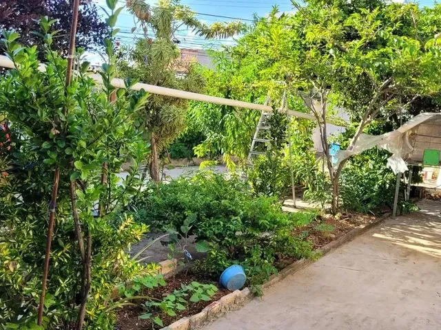 Imagem 11: Samuel Pereira Oferece: Casa de 3 Quartos na Laje, Lote 700 M² + Casa de 2 Quartos e Loja
