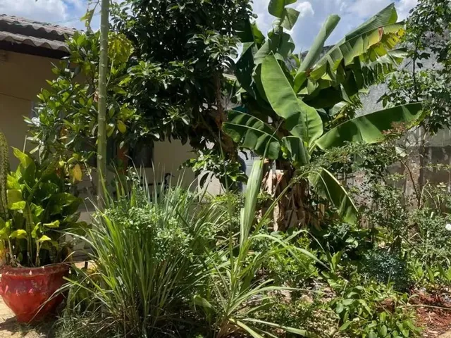 Imagem 4: Vende-Se Casa no Vale do Amanhecer