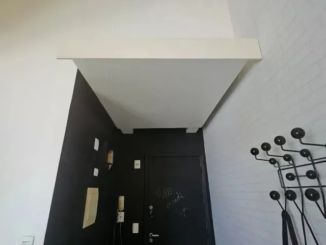 Imagem 11: Duplex em Águas Claras, 2 Suítes