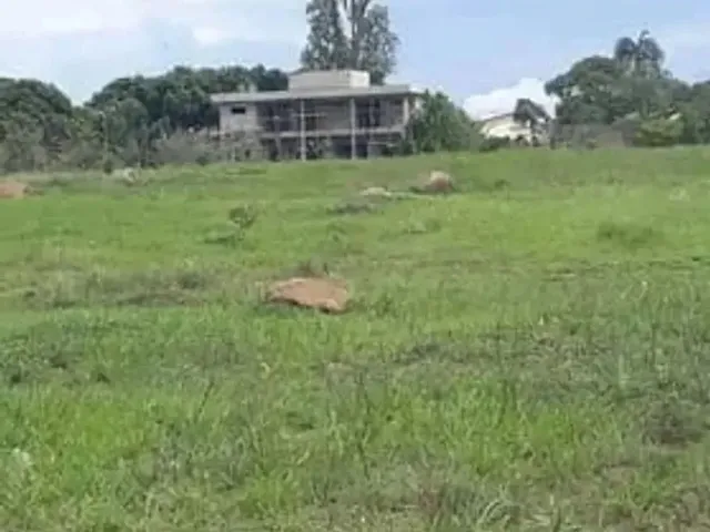 Imagem 2: Casa de Condomínio em Quadra Smpw Quadra 8 - Park Way - Brasília/Df