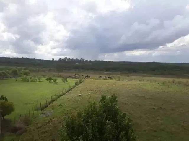 Imagem 4: Casa de Condomínio em Quadra Smpw Quadra 8 - Park Way - Brasília/Df