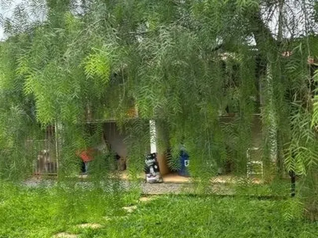 Imagem 3: Vendo Chácara Arapoanga 1.200M²