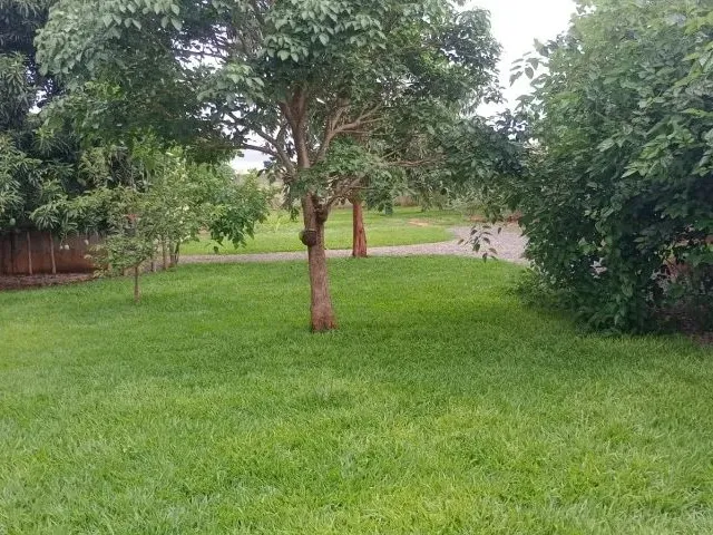 Imagem 10: Vendo Chácara Arapoanga 1.200M²
