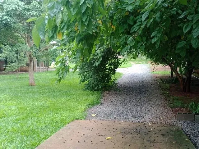 Imagem 7: Vendo Chácara Arapoanga 1.200M²