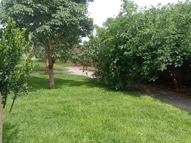 Imagem 13: Vendo Chácara Arapoanga 1.200M²