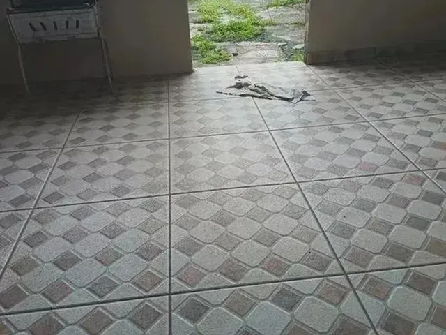 Imagem 11: Casa na Ceilândia para Venda