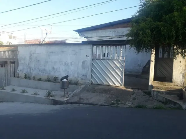 Imagem: Beija Flor Bairro de Flores Vila C 5 Ap