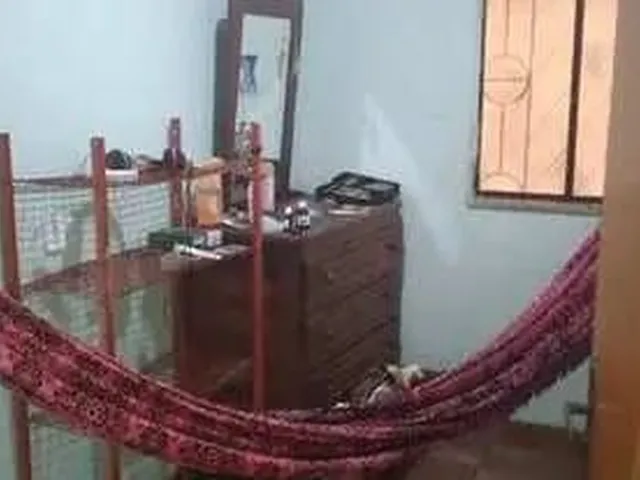 Imagem 7: / Casa no Vila da Prata com 5 Qrts e Garagem