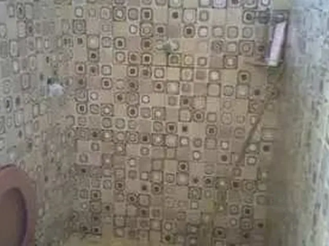 Imagem 8: / Casa no Vila da Prata com 5 Qrts e Garagem