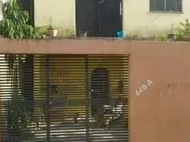 Imagem 12: / Casa no Vila da Prata com 5 Qrts e Garagem