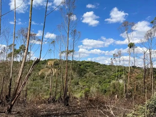 Imagem: Últimas Unidades! Terreno 1000M² em Ibiúna