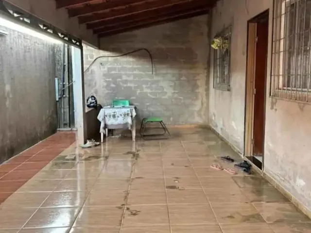 Imagem: Vendo Está Casa na Terra Firme/Ec
