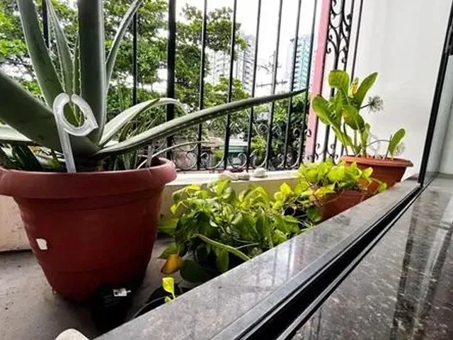 Imagem 14: Vendo Apartamento no Ed. Saint Etienne, Batista Campos, 3 Quartos, Excelente