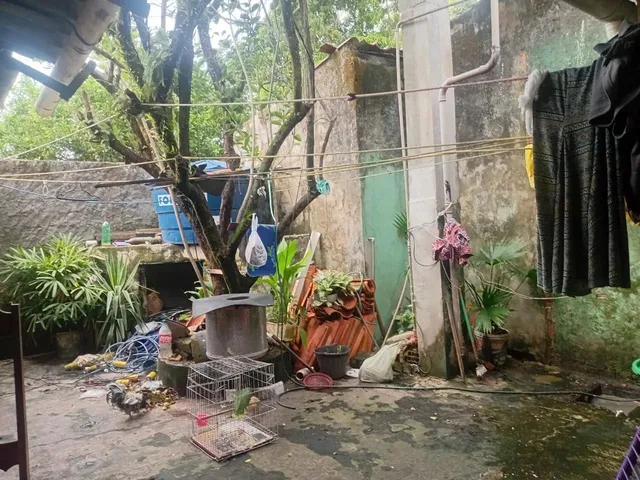 Imagem 15: Vende-Se Essa Casa Nova no Icuí