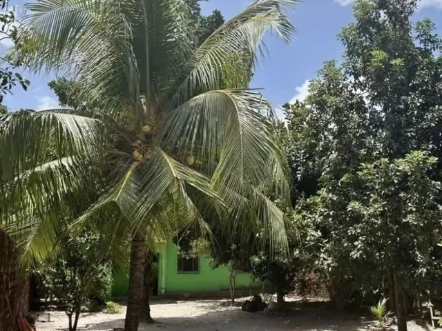 Imagem 6: Vende-Se Casa no Curuçambá Kf