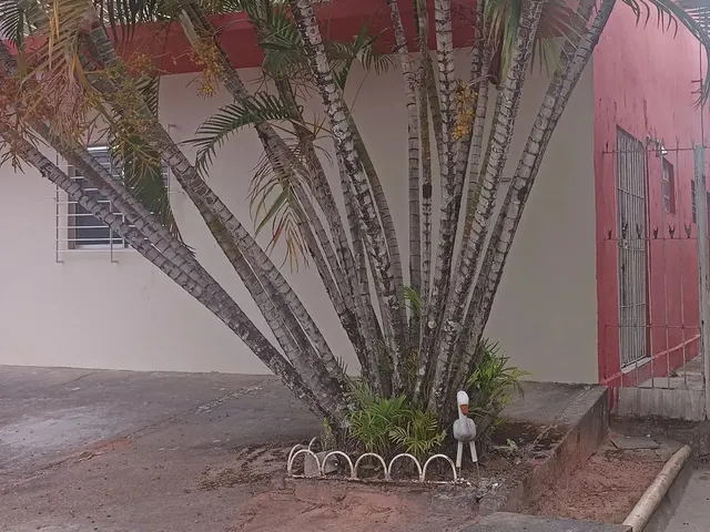 Imagem: Aluga-Se Casa no Centro de Camaragibe