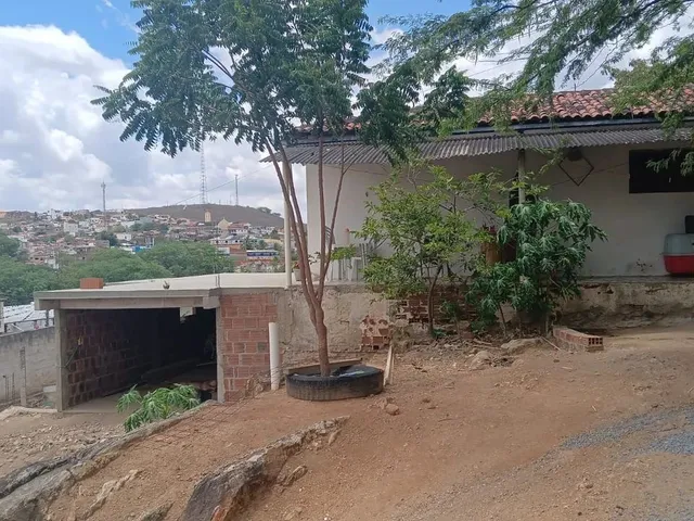 Imagem 5: Chácara no Centro de Aroeiras Pb