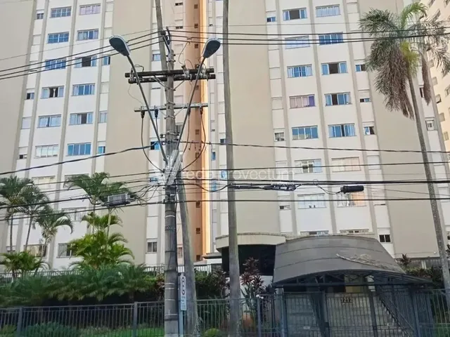 Imagem: Apartamento - Jardim Proença - Campinas