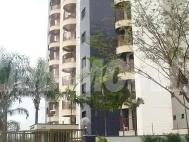 Imagem 15: Apartamento - Bonfim - Campinas