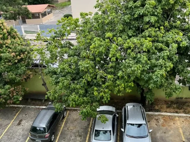 Imagem 2: Ótimo Dois Quartos em Morada de Laranjeiras, Excelente Localização