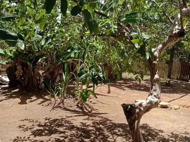 Imagem 2: ? Chácara com Localização Privilegiada Que Une Tranquilidade e Fácil Acesso A