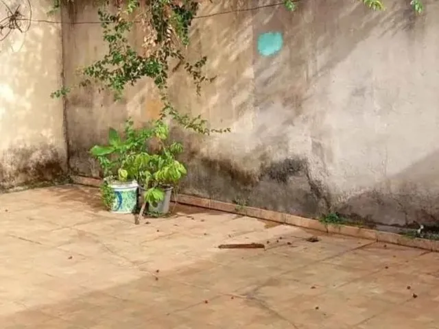 Imagem 4: Casa em Feu Rosa