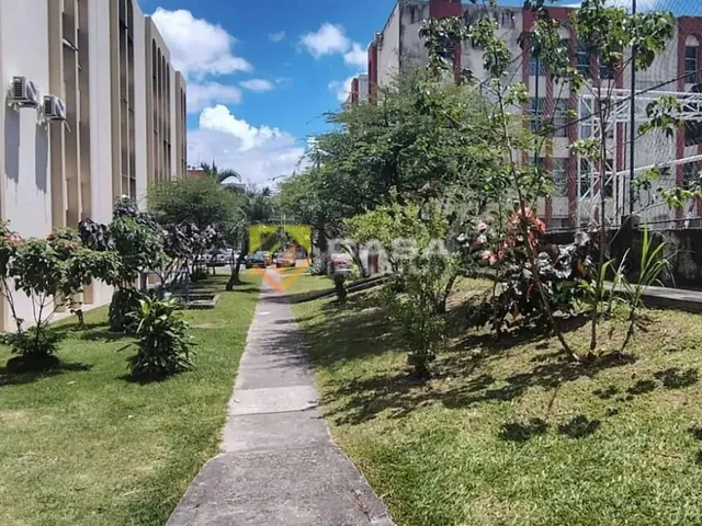 Imagem 7: Oportunidade Apartamento 2 Quartos 60M2 em Valparaiso Serra Es