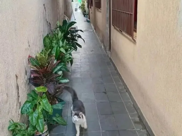 Imagem 2: Lv* Casa em Barcelona