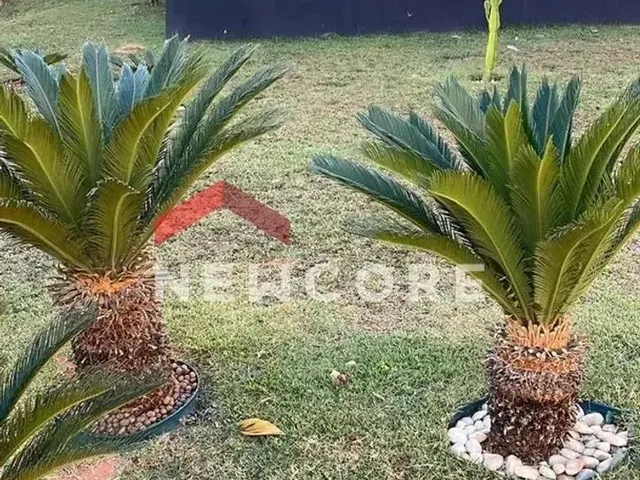 Imagem 6: Apartamento em Rua Sete - Nova Pampulha 3ª e 4ª Seção - Vespasiano/Mg