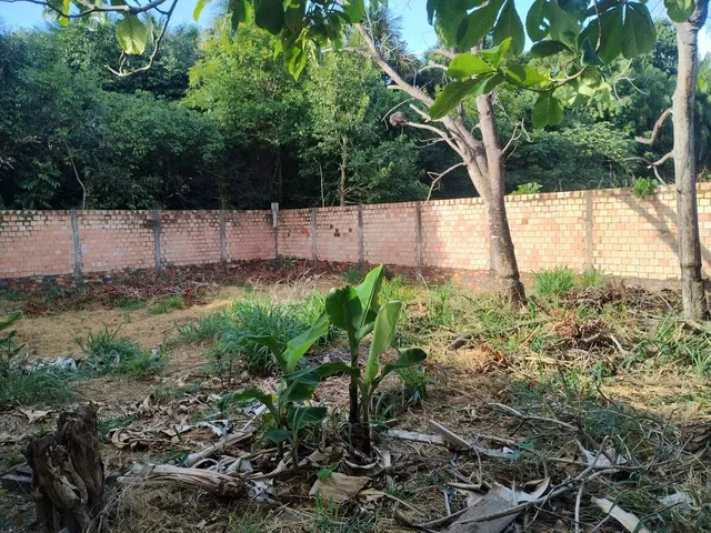 Imagem 2: Vende Se Terreno no Silvio Leite