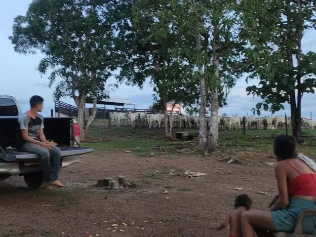 Imagem 2: Fazenda com Título Definitivo e Matrícula