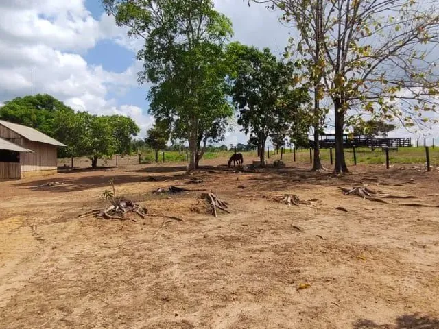 Imagem 4: Fazenda com Título Definitivo e Matrícula