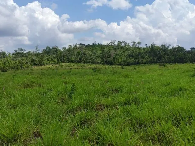 Imagem 7: Fazenda com Título Definitivo e Matrícula