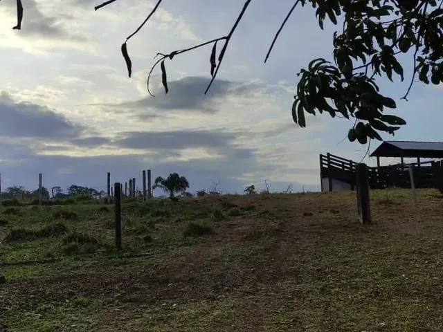 Imagem 9: Fazenda com Título Definitivo e Matrícula