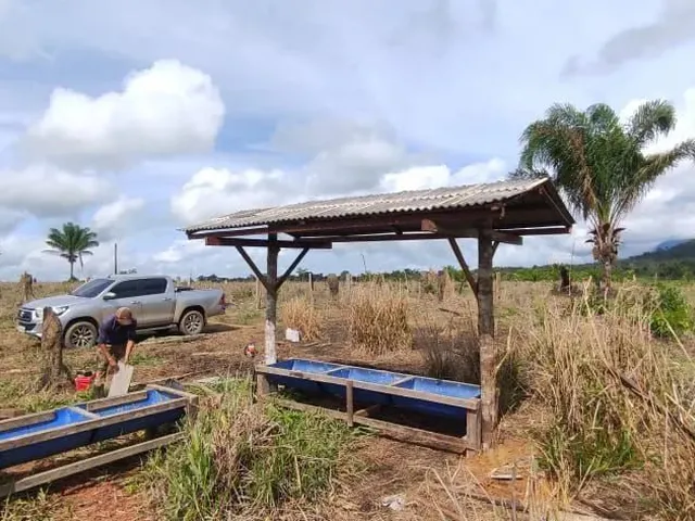 Imagem 11: Fazenda com Título Definitivo e Matrícula
