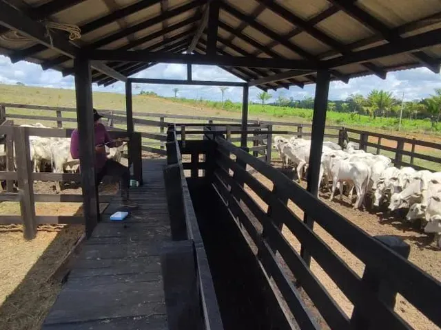 Imagem 13: Fazenda com Título Definitivo e Matrícula