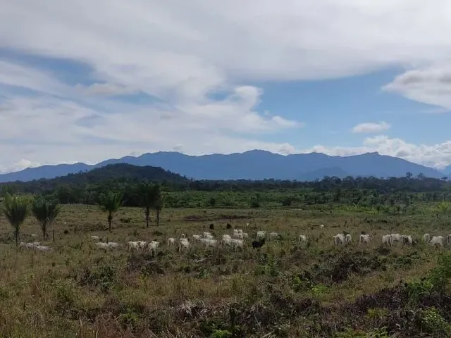 Imagem 14: Fazenda com Título Definitivo e Matrícula