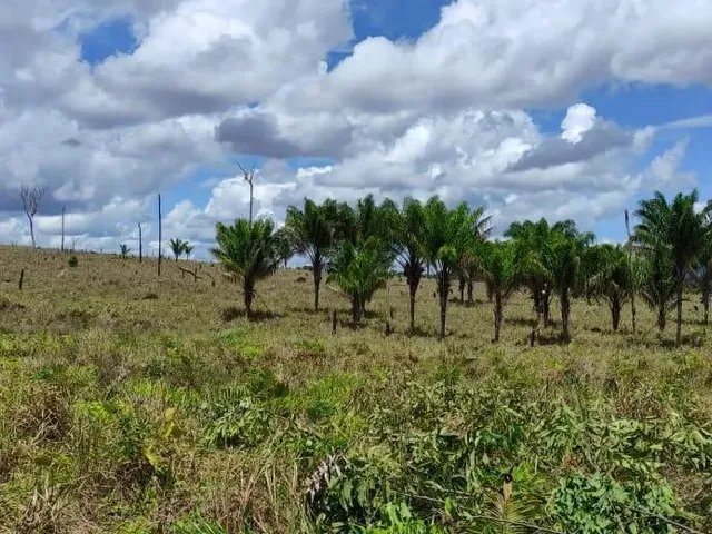 Imagem 15: Fazenda com Título Definitivo e Matrícula