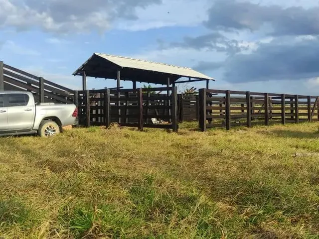 Imagem 16: Fazenda com Título Definitivo e Matrícula