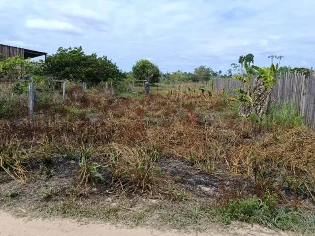 Imagem: Terreno em Rorainópolis