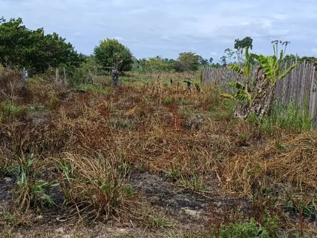 Imagem 3: Terreno em Rorainópolis