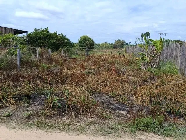 Imagem 2: Terreno em Rorainópolis
